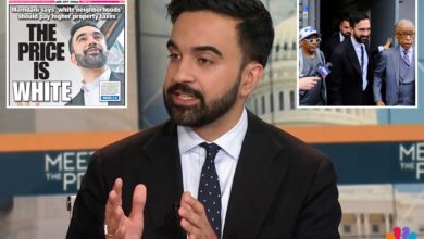 Zohran Mamdani doubles down on plan to target 'richer and whiter neighborhoods'