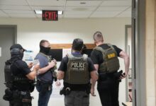 Dems fan the flames of 'assassination culture' against ICE