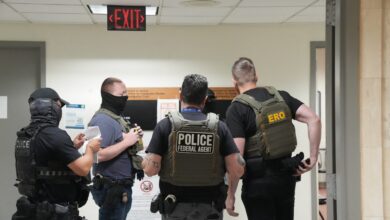 Dems fan the flames of 'assassination culture' against ICE