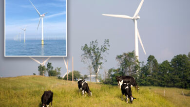 New York halts offshore wind power lines, citing Trump opposition