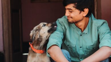 man with his dog