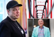 Tesla's board urged to rein in CEO Elon Musk