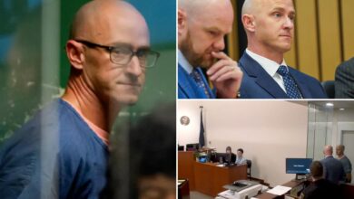 Off-duty Alaska Airlines pilot Joseph Emerson who tried shutting down engines after taking psychedelic mushrooms pleads guilty