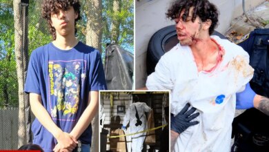 Troubled Staten Island teen accused of decapitating mom's beau shares gory confession details