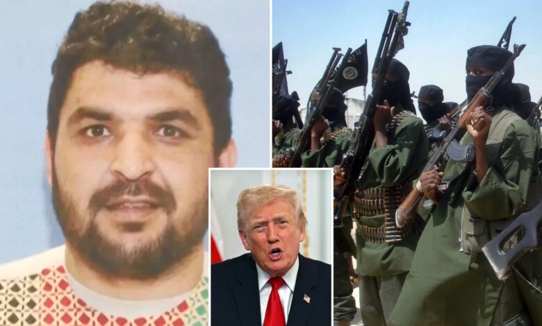 Afghan terror and Somalia fraud shows why Trump is right on migrants