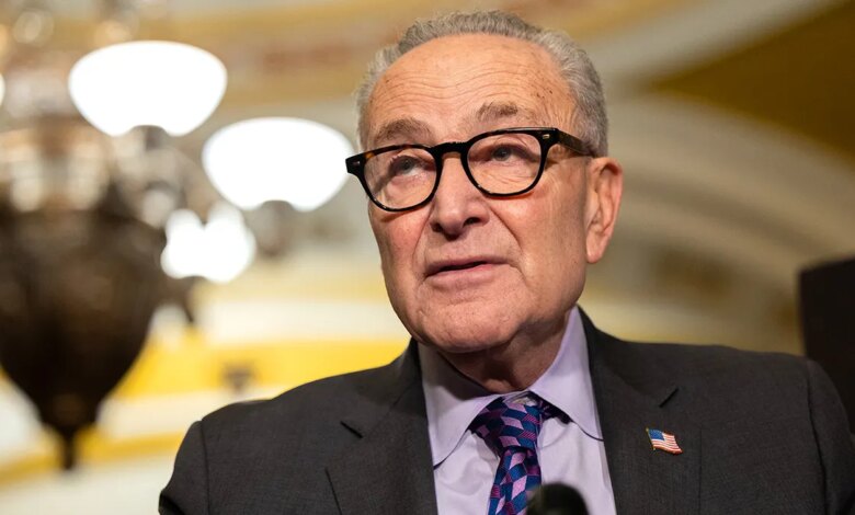Senate Minority Leader Chuck Schumer speaks at a press conference alongside members of the Senate Democratic Caucus.