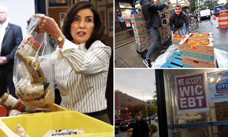 Hochul orders NY to pay SNAP benefits — and deposits could come as early as today