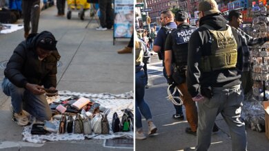 ICE arrests illegal immigrant selling counterfeit goods on Canal Street in NYC