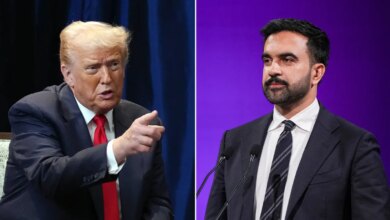 President Donald Trump and New York City mayoral candidate Zohran Mamdani have traded barbs throughout the 2025 campaign.