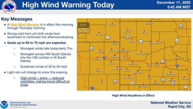 600320281 1207324724870828 5142750665633948315 n