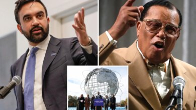 At least 20% of Zohran Mamdani transition committee team linked to radical anti-Zionist groups: ADL 16 At least 20% of Zohran Mamdani transition committee team linked to radical anti-Zionist groups: ADL