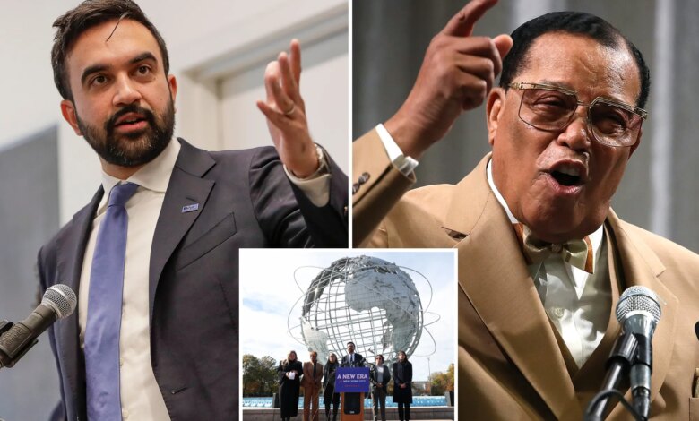 At least 20% of Zohran Mamdani transition committee team linked to radical anti-Zionist groups: ADL