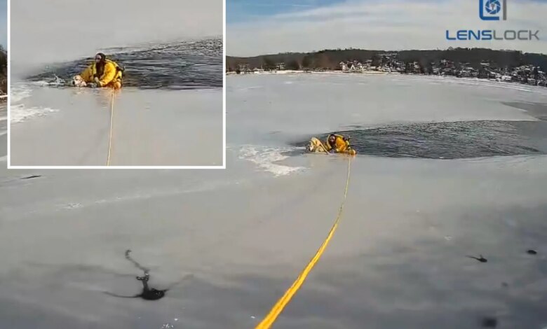 Dog stranded in middle of frozen NJ lake saved by daring police officer