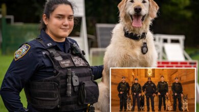 Exclusive | Take a bite out of NYC crime: NYPD calendar highlights canine heroes and human partners