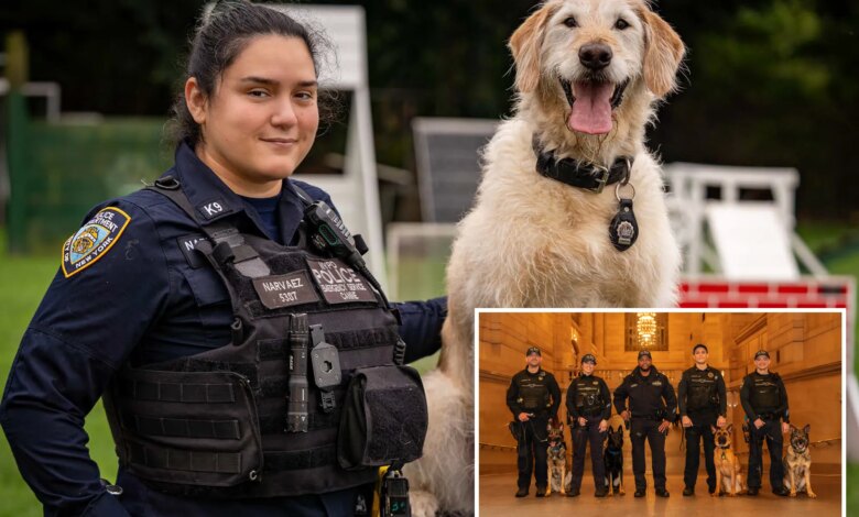 Exclusive | Take a bite out of NYC crime: NYPD calendar highlights canine heroes and human partners