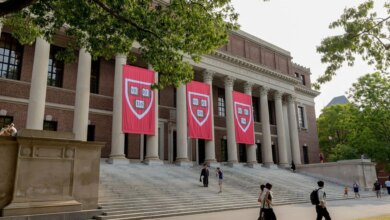 Harvard is destroying itself over 'diversity' — and the rest of us, too
