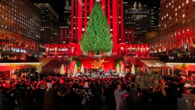 Learn the lesson of Christmas unity — or politics will tear us apart