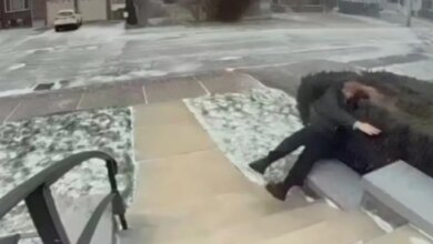Person blown over by wind into a bush next to a snowy sidewalk.