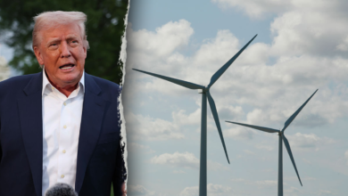 Wind_Trump_NJ