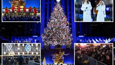 Rockefeller Center Christmas tree lights up to start holiday season as NYers, tourists brave the cold