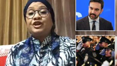 Zohran Mamdani transition team member blasted NYPD South Asians as 'killers'