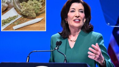 Hochul wants to open medical marijuana center but critics say plan is half-baked