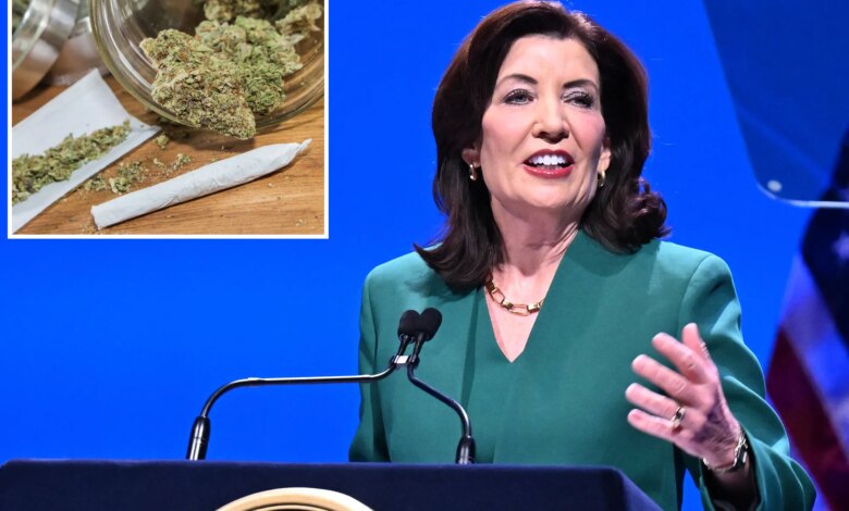 Hochul wants to open medical marijuana center but critics say plan is half-baked 1 Hochul wants to open medical marijuana center but critics say plan is half-baked