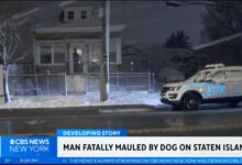 A man was mauled to death by a pit bull inside a Staten Island home Sunday afternoon