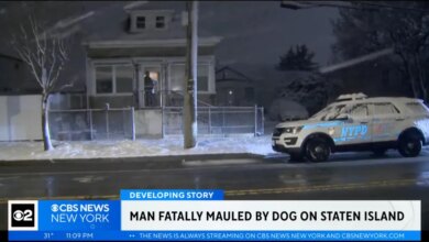 A man was mauled to death by a pit bull inside a Staten Island home Sunday afternoon