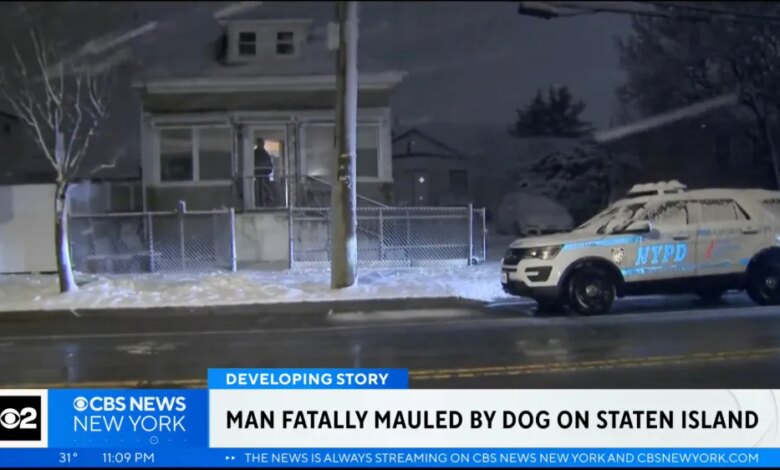 A man was mauled to death by a pit bull inside a Staten Island home Sunday afternoon