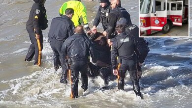 NJ man allegedly tried to stab firefighter with screwdriver during New Year's Eve water rescue