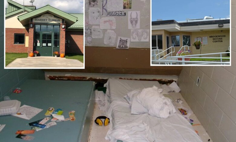 NY kids kept in state solitary confinement for months without toilets, new suit claims: ‘Barbaric’