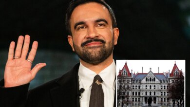 NYC DSA leaders ready to go to war for Zohran Mamdani against 'corrupt' Albany