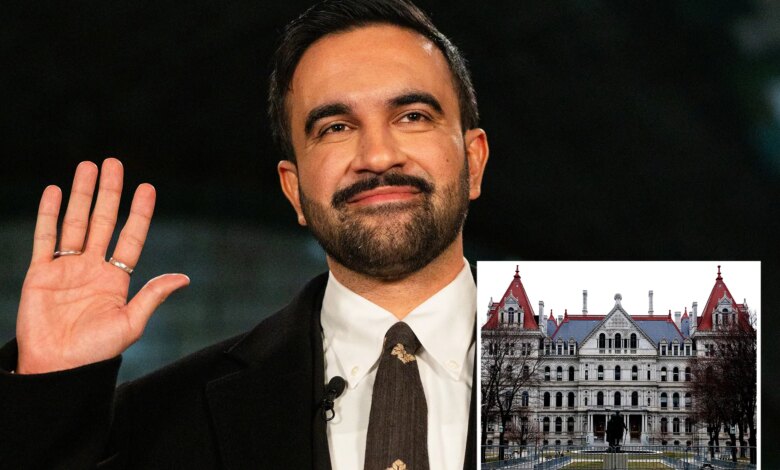 NYC DSA leaders ready to go to war for Zohran Mamdani against 'corrupt' Albany