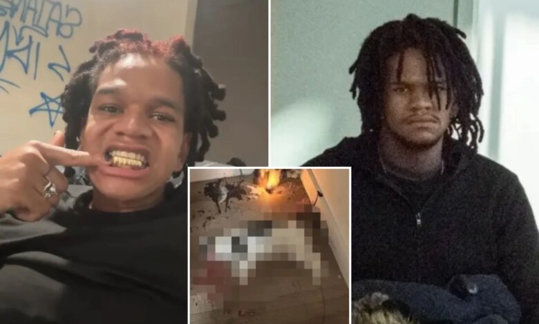 NYC wannabe rapper accused of torturing, killing stray cat indicted on animal cruelty charges: DA