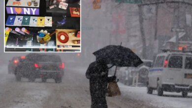 Potheads swarm cannabis shops before snowstorm