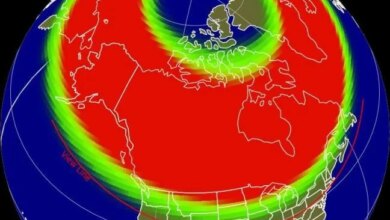 Illustration of a map showing the northern lights sight line for January 2026.
