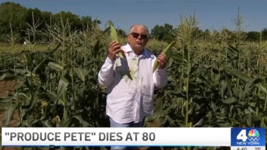 "Produce Pete" holding two ears of corn in a cornfield.