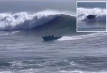 Dramatic video shows family of six thrown out of boat after taking on massive wave