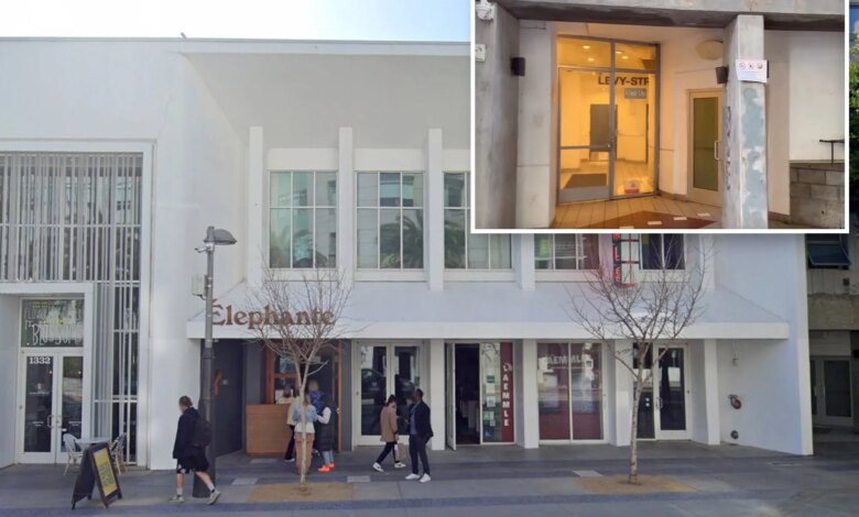 Elephante vermin infestation blamed on homeless shelter next door