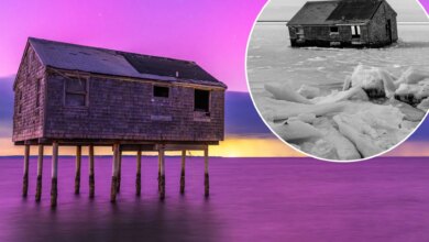 Hamptons 'stilt' house collapses into bay after standing for more than 70 years due to cold temperatures