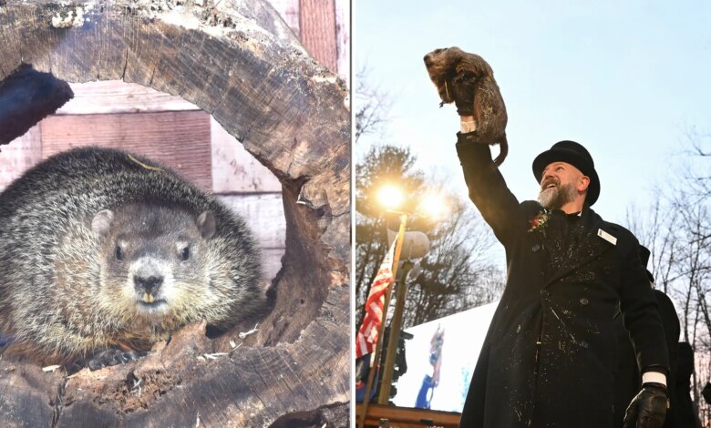 Here's when and where Punxsutawney Phil and Staten Island Chuck will make their predictions