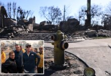 Judge clears way for mega lawsuit blaming LA and California for deadly Palisades Fire