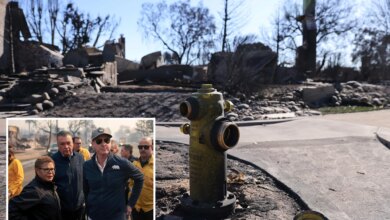 Judge clears way for mega lawsuit blaming LA and California for deadly Palisades Fire