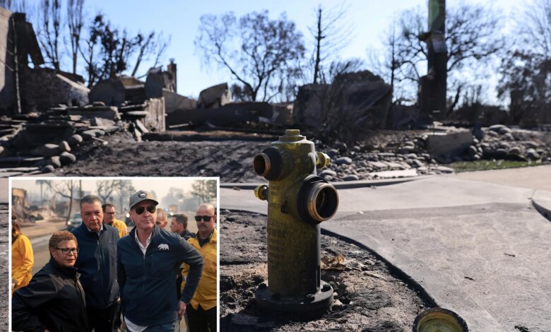 Judge clears way for mega lawsuit blaming LA and California for deadly Palisades Fire