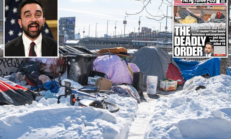 Mamdani won't budge on involuntary removal of homeless New Yorkers from streets as cold deaths reach 18