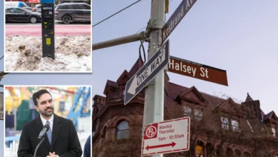 More NYC parking meters could rake in $1B, think-tank tells Mamdani — as locals blast 'money grab'