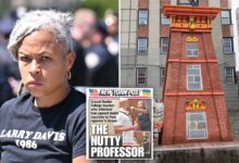 Nutty professor Shellyne Rodriguez who held machete to Post reporter's neck tapped by NYC agency for $407,000 art installation