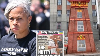 Nutty professor Shellyne Rodriguez who held machete to Post reporter's neck tapped by NYC agency for $407,000 art installation