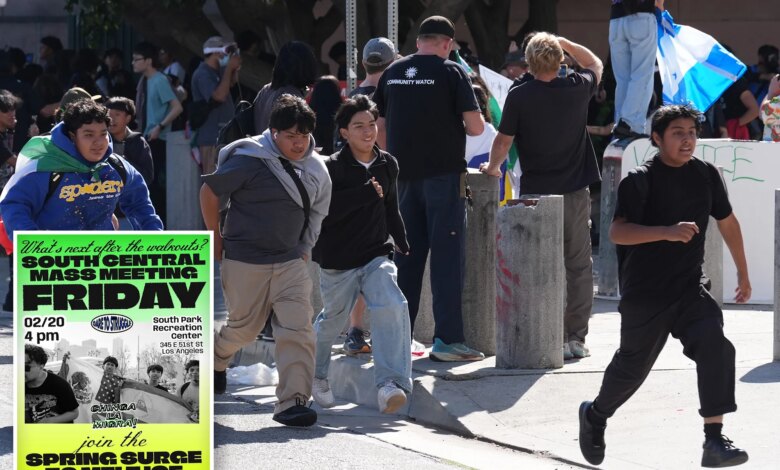 Radical SoCal group sets next anti-ICE ‘mass meeting’ as White House slams ‘far-left’ orgs that target law enforcement